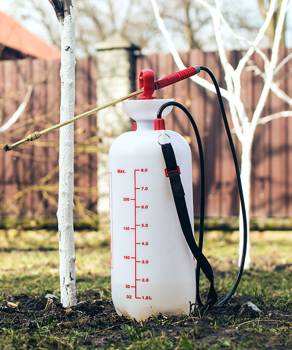 Pesticide